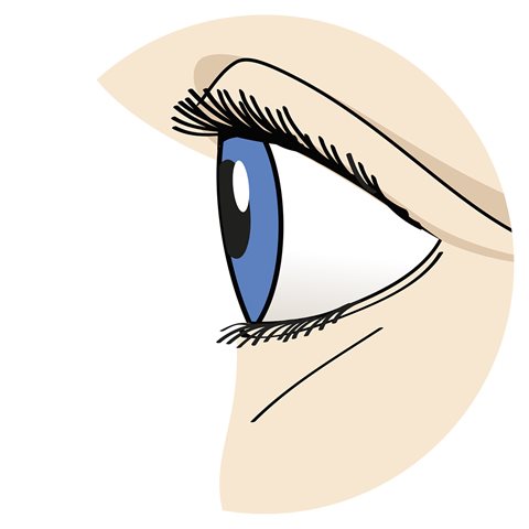 eye-illustration