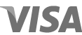 Logo: VISA